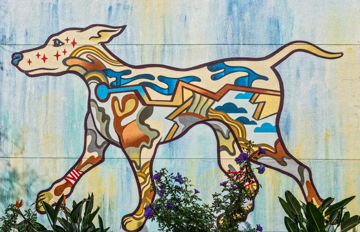 David Polka • 508 Mural Fest