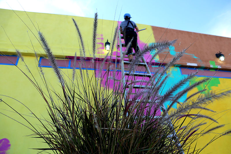 Sofia Maldanado | Mural Fest | Worldwide UnderGround